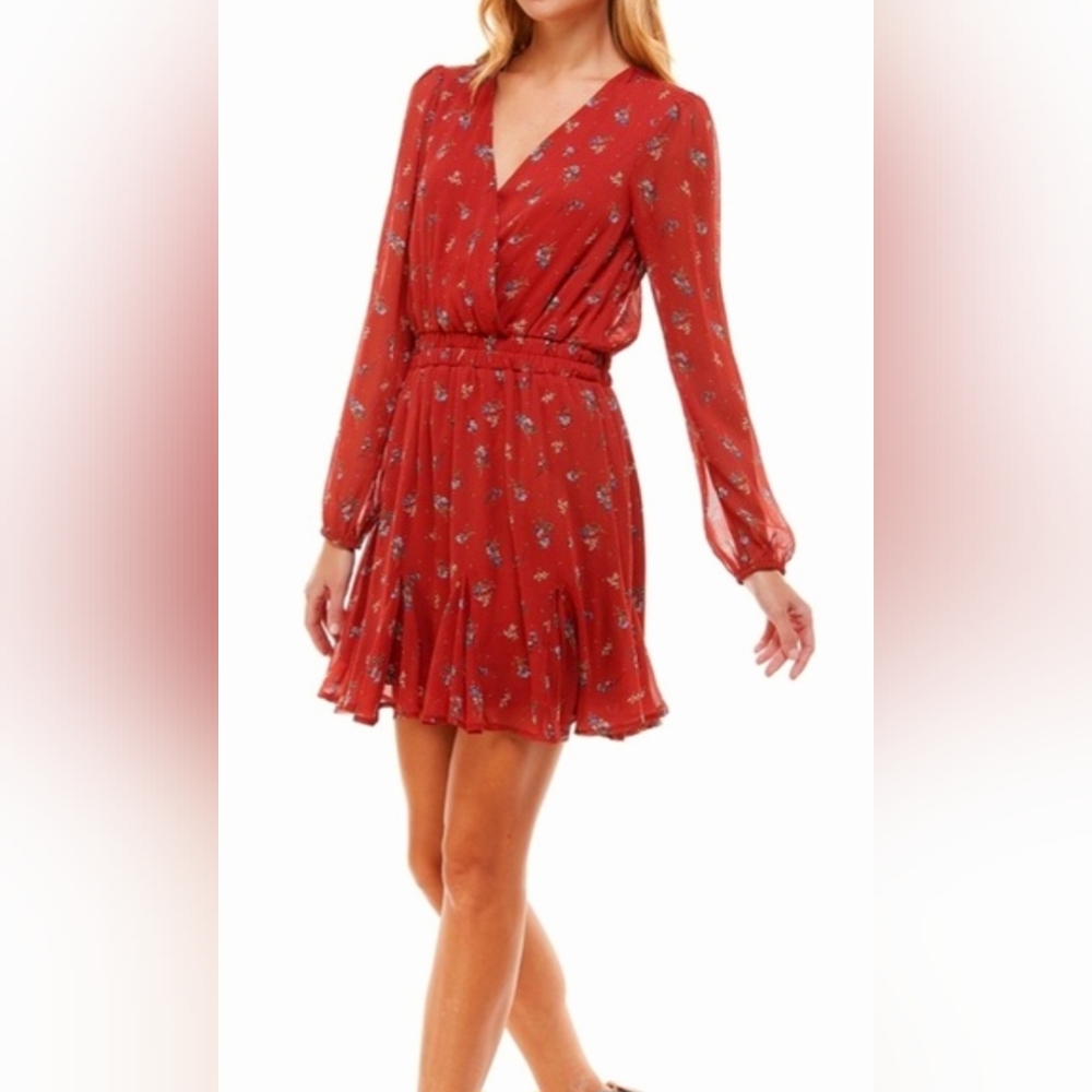 Trixxi Floral Long Sleeve Dress